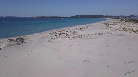 Strolling in the dunes Stock Footage 170880693