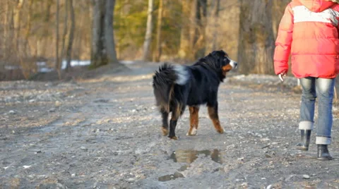 Strolling Stock Footage