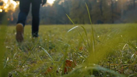 Strolling on grassy lawn at sunset 스톡 동영상 168054963