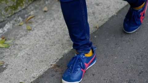 Strolling in a park Stock Footage 86730186