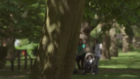 Strolling in the park Stock-Footage 93202894