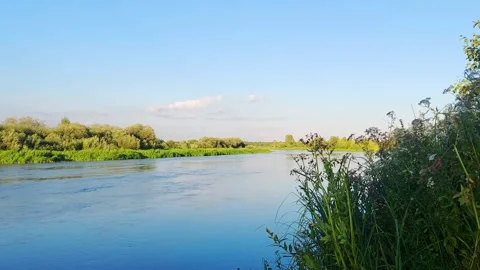 Strolling by the river with clear blue skies and green plants on a sunny day in Stock Footage 327323949