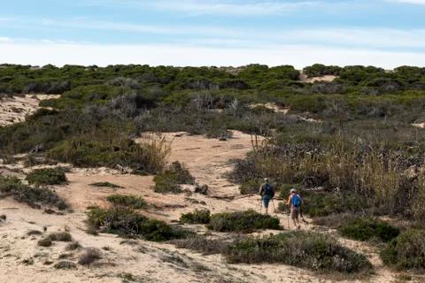 Strolling through an area of beach sand dunes Stock Photos