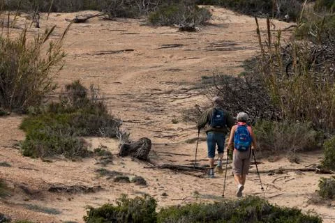 Strolling through an area of beach sand dunes Stock Photos