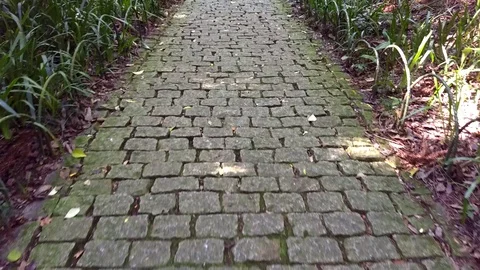 Strolling through a cobblestone pathway Vídeo Stock 102810255