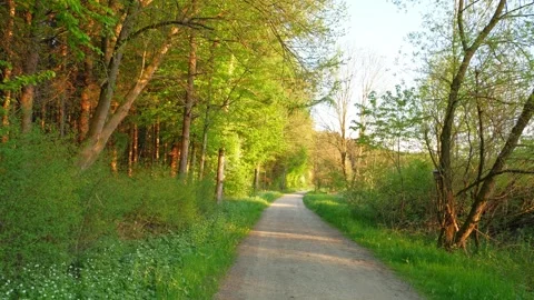 Strolling Through Fresh Spring Grass Along a Woodland Edge in Allgu with Vibr Stock Footage 309039218
