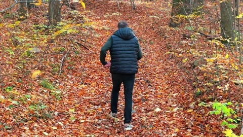 Strolling through the woods, a man in green and black is surrounded by fall.. Stock Footage 256000953