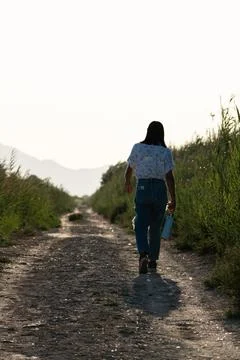 Strolling in the wetland Stock Photos