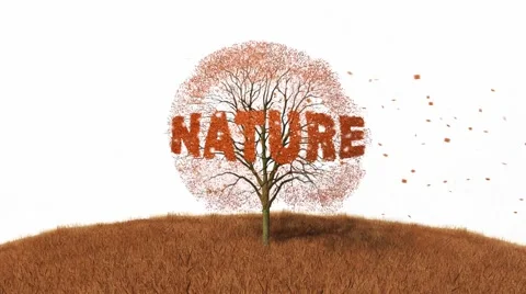 Strom nature 2.mp4 Stock Footage 43736582