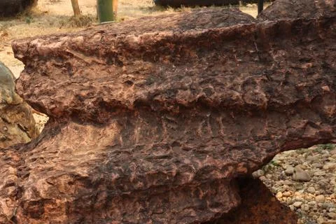 Stromatolite stone background texture. Stock Photos