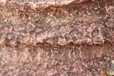 Stromatolite stone texture - background Stock Photos