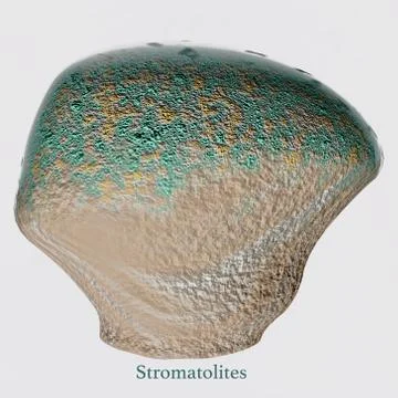 Stromatolites with Font Stock Illustration