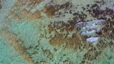 "Stromatolites at Hamelin pool in Australia" Video stock 144013392