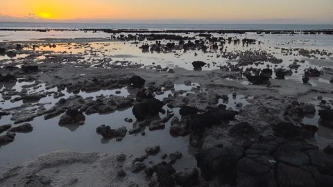 Stromatolites Sunset 스톡 동영상 99846858