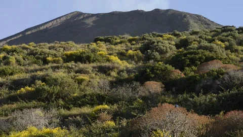 Stromboli Stock Footage 272619547