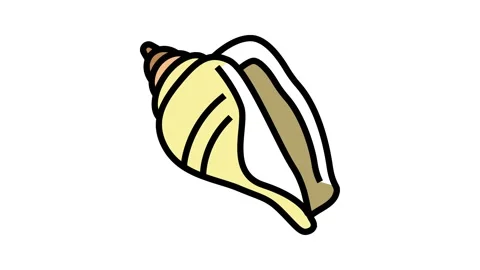 Strombus sea shell beach color icon animation Vídeos de archivo 225019683