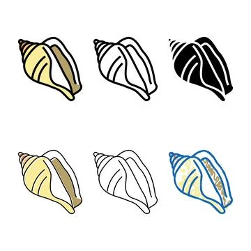 Strombus sea shell beach designs color icon vector 库存插图