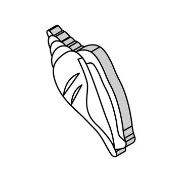 Strombus sea shell beach isometric icon vector illustration Stock Illustration