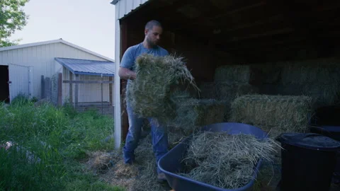 Strong, active man with a wheelbarrow full of green hay on a backyard of a house Stock Footage 204429021