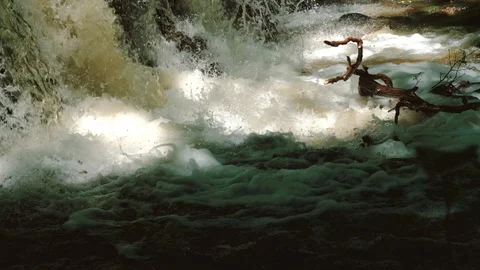 Strong and dangerous water flows After heavy rain on a mountain that is a forest Stock Footage 124807713