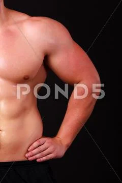 Strong arm of a male athlete Stock Photos