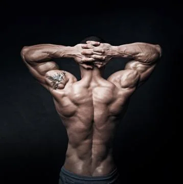 Strong athletic mans back on dark background Stock Photos
