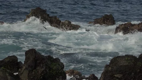 Strong Atlantic waves break against the rocks and create white foam.  Video stock 148894284
