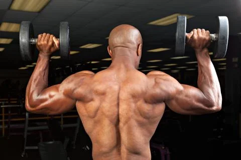 Strong back and shoulders on a  ripped lean muscle fitness man lifting weight Stock Photos