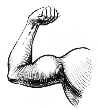 Strong bicpes Illustrazione stock