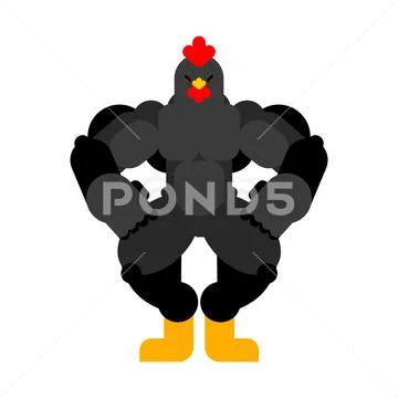 Strong black rooster. Powerful bantam. spring chicken bodybuilder. hard Farm Stock Illustration