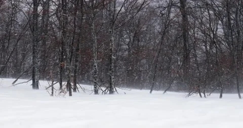 Strong blizzard in the mountains on a winter day Stock Footage 169247532