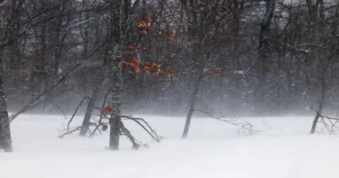 Strong blizzard in the mountains on a winter day Stock Footage 169247626