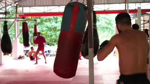 Strong boxer is training. Stock Footage 60782833