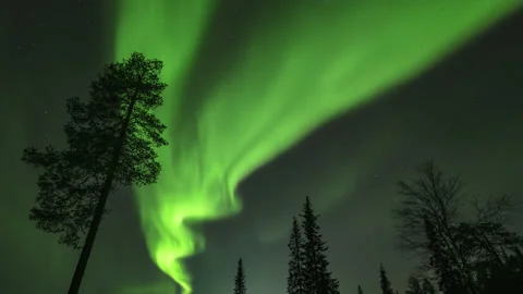 Strong bright Aurora Borealis. 動画素材 219148898