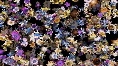 Strong colors spatial floral background video Stock Footage 80330510
