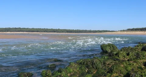 Strong current on estuary Video stock 99470794