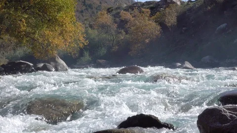 Strong current of a mountain river Stock-Footage 116559667