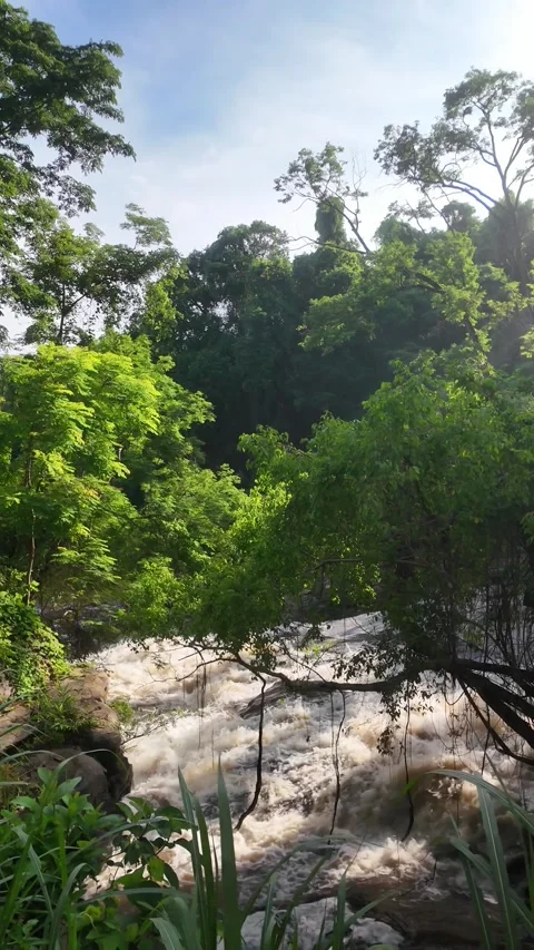 Strong current in the river after heavy rains in autumn. Stock Footage 310039901