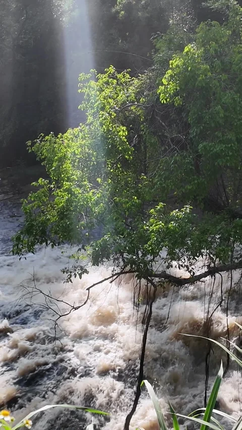 Strong current in the river after heavy rains in autumn. Stock Footage 310039903