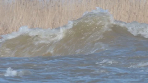 Strong current in the river creates waves on a sunny and cold winter day. Stock Footage 96409042