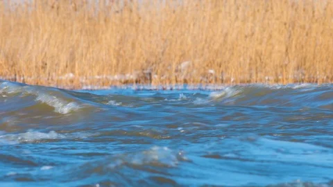 Strong current in the river creates waves on a sunny and cold winter day. Stock Footage 96409049