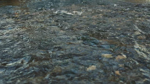 Strong current of river water. Flow of water over stones in a river. Stock Footage 331375767