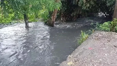 Strong current in the river, waters turned muddy after heavy rains in autumn.	 Stock Footage 316523699