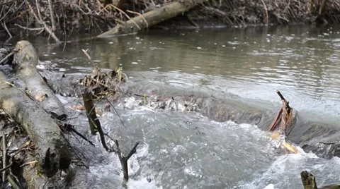 Strong current at a small river. Stock Footage 51324283