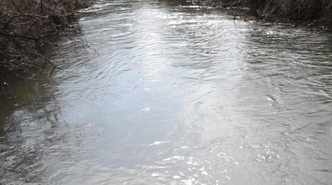 Strong current at a small river. Stock Footage 51324288