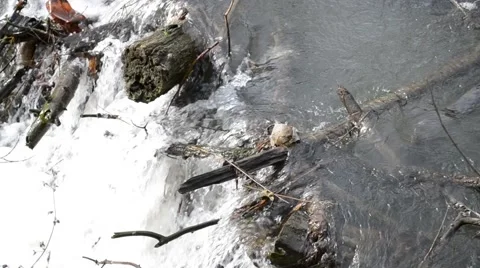 Strong current at a small river Stock Footage 51324294
