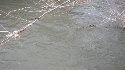 Strong current at a small river Stock Footage 51879865