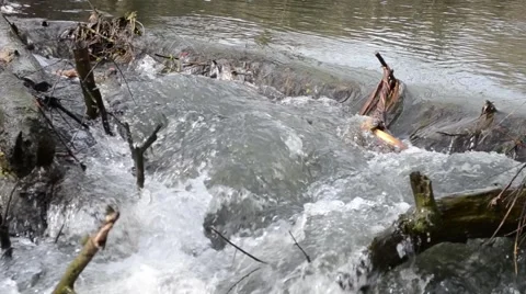 Strong current at a small river Stock Footage 51879873