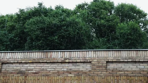 Strong drops of rain fall on the background of a brick wall and green trees. Video stock 243449709