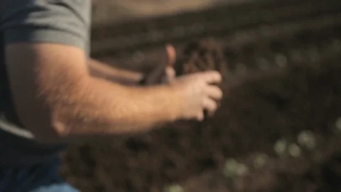 Strong Farmer Breaks Soil with Hands Stock Footage 95255901